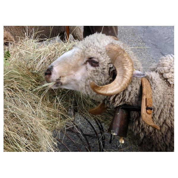 PHOTO84, CLUB, 84 , LUBERON